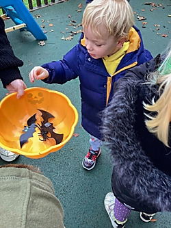 Festivals and Culture